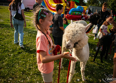 Piknik Zdrowia 2024 (19)