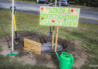 2024-10-20 Święto Drzewa (745)