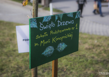 2024-10-20 Święto Drzewa (738)