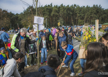 2024-10-20 Święto Drzewa (571)