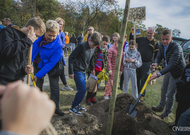 2024-10-20 Święto Drzewa (567)