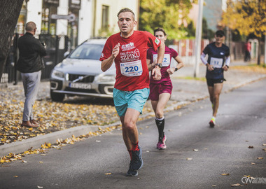 61 Bieg Republiki Ostrowskiej (664)