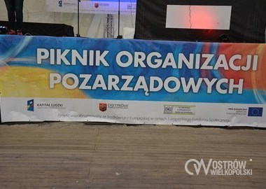 Piknik organizacji pozarzadowych (13)