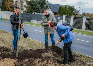 Zielony akcent na 35-lecie samorządu. W Ostrowie Wielkopolskim posadzono Aleję Lipową (61)