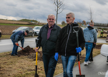 Zielony akcent na 35-lecie samorządu. W Ostrowie Wielkopolskim posadzono Aleję Lipową (52)