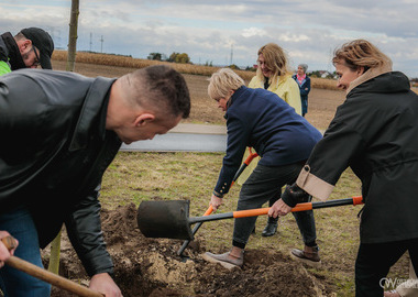 Zielony akcent na 35-lecie samorządu. W Ostrowie Wielkopolskim posadzono Aleję Lipową (36)