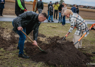Zielony akcent na 35-lecie samorządu. W Ostrowie Wielkopolskim posadzono Aleję Lipową (35)