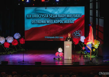 Uroczysta Sesja z okazji Święta Miasta i Narodowego Święta Niepodległości (50)