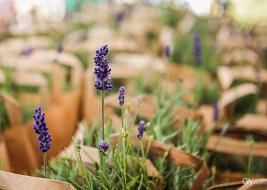 2025-08-30 Pruślin Festyn (25)