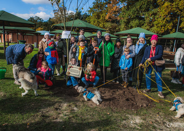 2025-10-19 Święto drzewa Piaski (703)