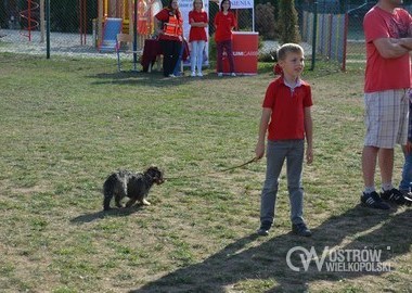 Festyn rodzinny Pozegnanie lata w SP nr 13 - 19.09.2015 (14)