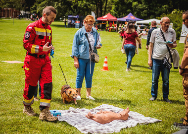 2026-05-30 Piknik organizacji pozarządowych (214)
