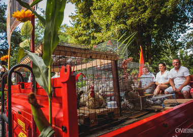 2026-08-16 Misktat Święcenie zwierząt (251)