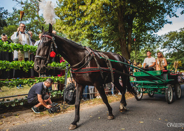 2026-08-16 Misktat Święcenie zwierząt (242)