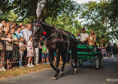 2026-08-16 Misktat Święcenie zwierząt (240)
