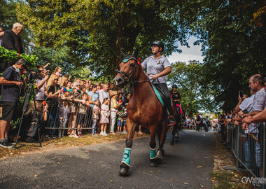 2026-08-16 Misktat Święcenie zwierząt (231)