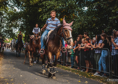 2026-08-16 Misktat Święcenie zwierząt (224)