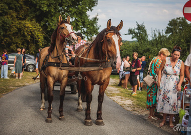 2026-08-16 Misktat Święcenie zwierząt (182)