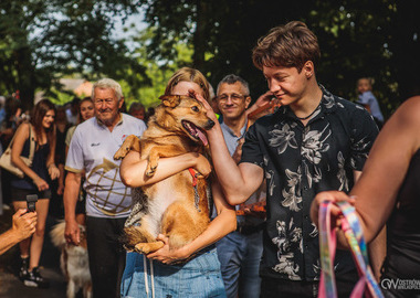 2026-08-16 Misktat Święcenie zwierząt (361)