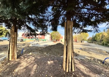 Zielona przestrzeń przed „Czwórką” nabiera kształtu (2)