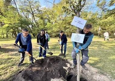 Święto Drzewa 2026 (88)