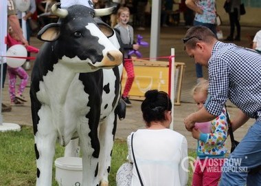 majOSTaszki 2016, 08.05.2016 r (108)