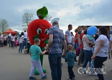 majOSTaszki 2016, 08.05.2016 r (11)