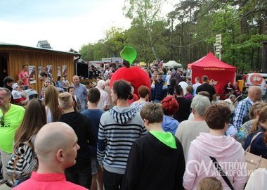 majOSTaszki 2016, 08.05.2016 r (148)