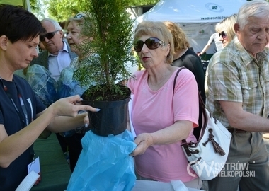 majOSTaszki 2016, 07.05.2016 r (20)