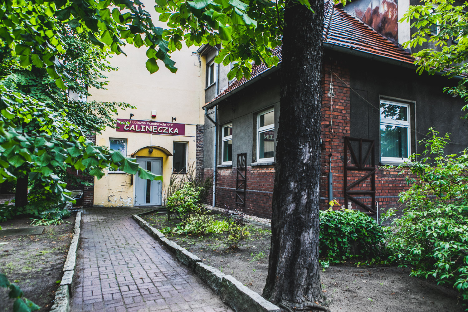 Zdjęcie przedstawia budynek dawnego przedszkola Calineczka przy ulicy Wolności w Ostrowie Wielkopolskim. Do budynku prowadzi chodnik. Widoczna jest zieleń. 