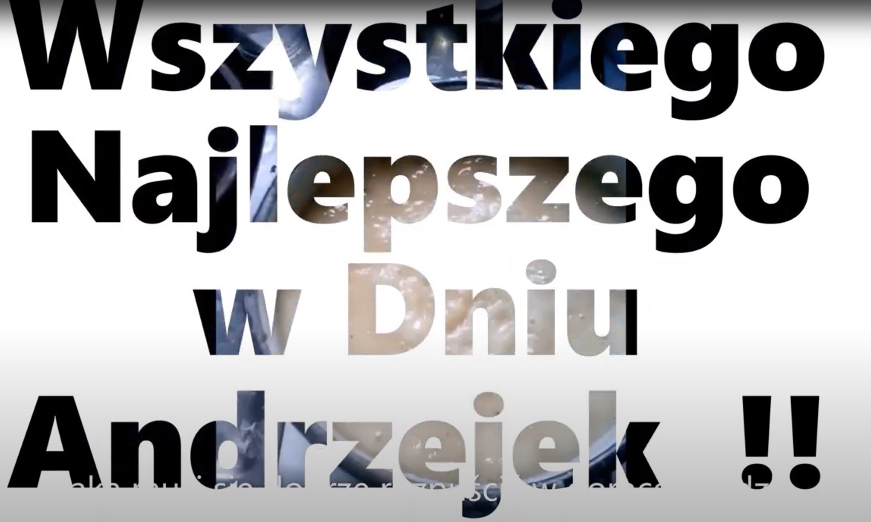 Wystawa online