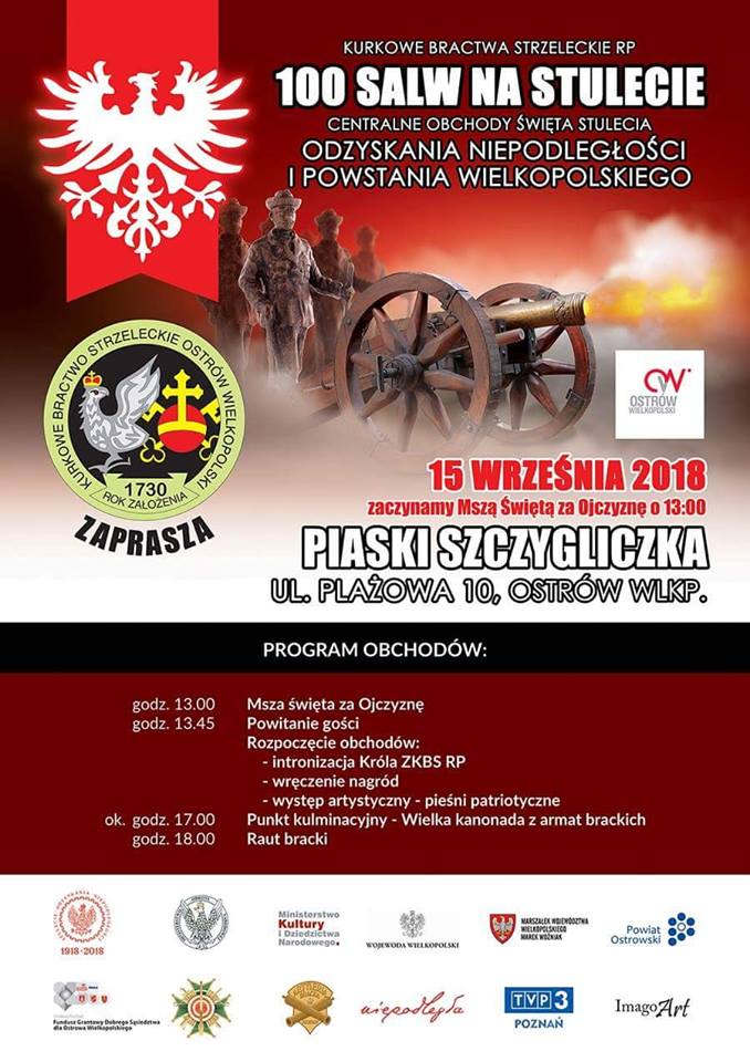 Plakat - 100 salw na stulecie