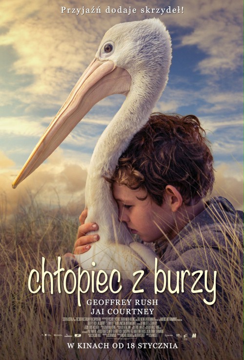Plakat filmu Chłopiec z burzy