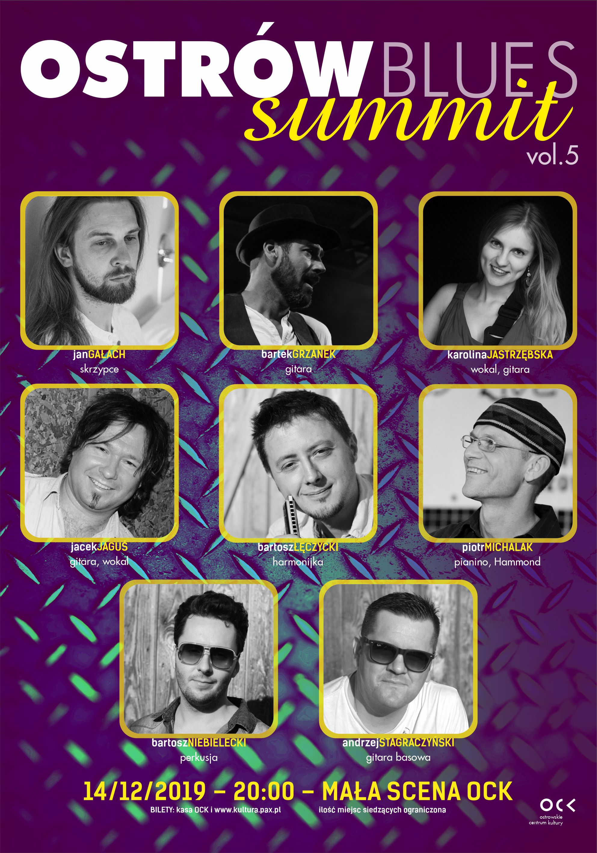 Afisz Ostrów Blues Summit vol.5