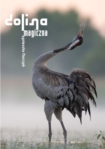 Zaproszenie - Wystawa Dolina magiczna Agnieszki Florczyk