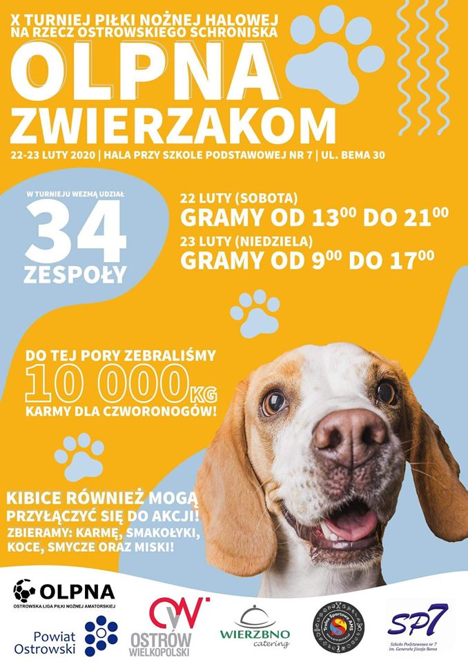 Plakat Olpna