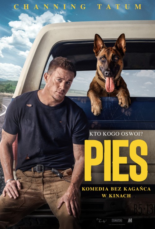 Plakat filmu Pies