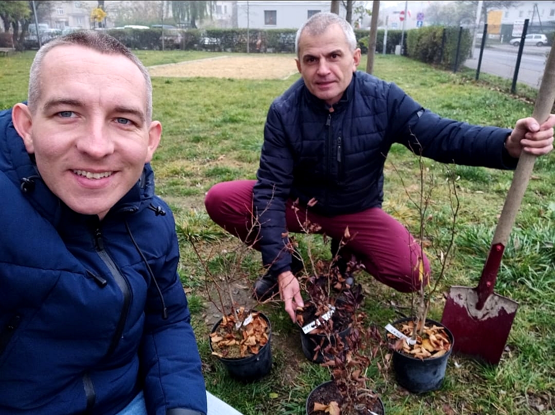 Sadzimy drzewa w Ostrowie Wielkopolskim. Rusza zwycięski projekt Ostrowskiego Budżetu Obywatelskiego 