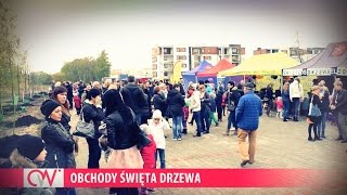 Obchody Święta Drzewa 2016