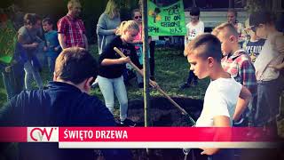 Święto Drzewa