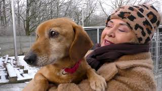 Poznajcie Dżekiego! 