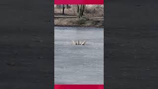 Park im. Adama Mickiewicza: czas na zielono-niebieską rewolucję! 